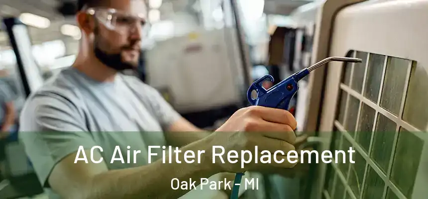 AC Air Filter Replacement Oak Park - MI