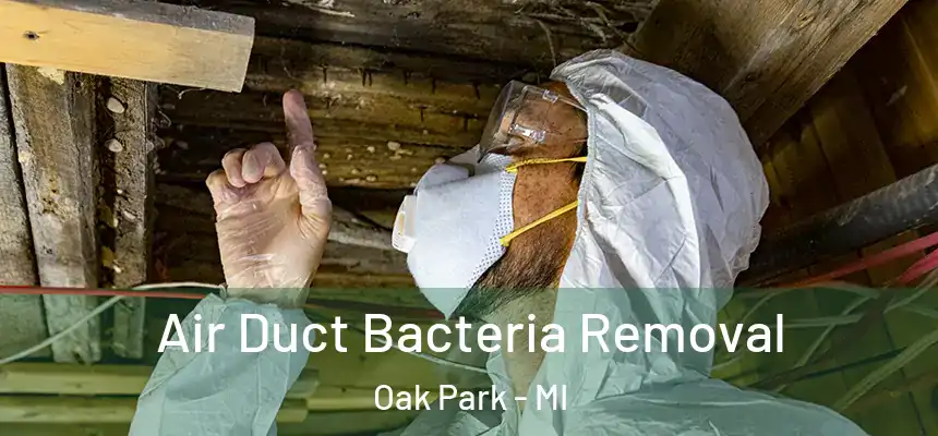 Air Duct Bacteria Removal Oak Park - MI