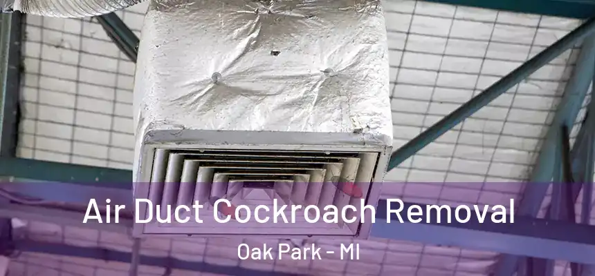 Air Duct Cockroach Removal Oak Park - MI