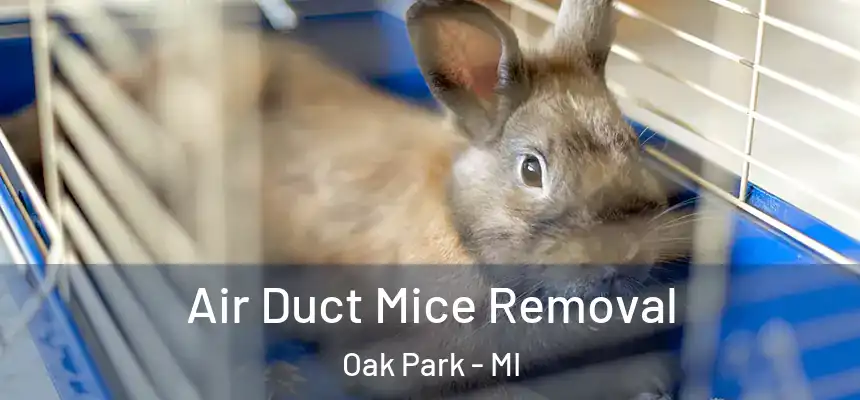 Air Duct Mice Removal Oak Park - MI