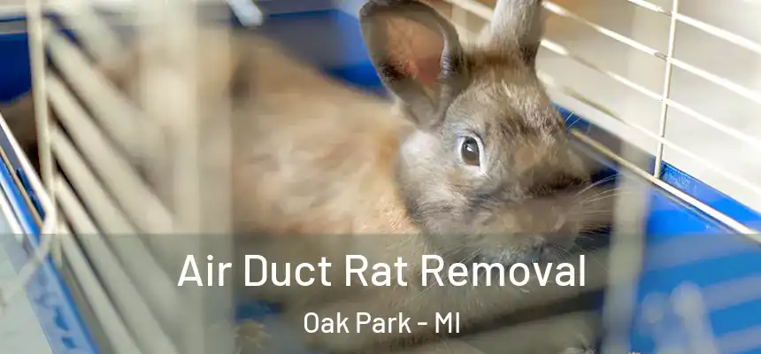 Air Duct Rat Removal Oak Park - MI