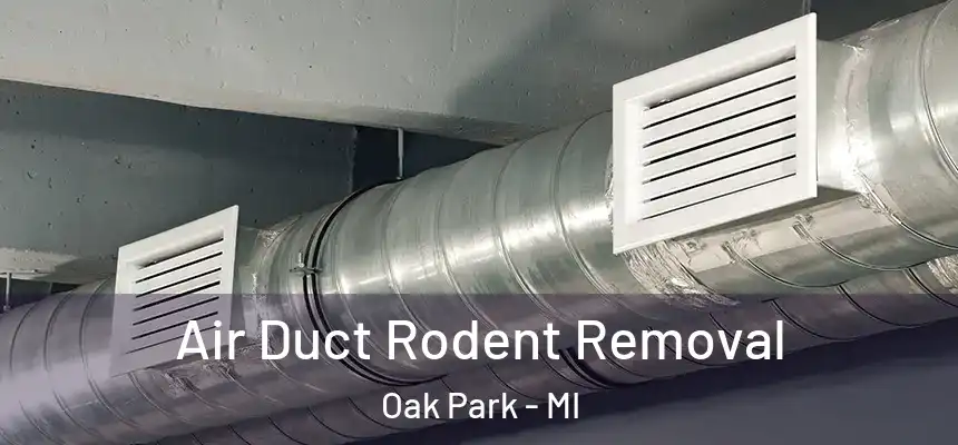 Air Duct Rodent Removal Oak Park - MI