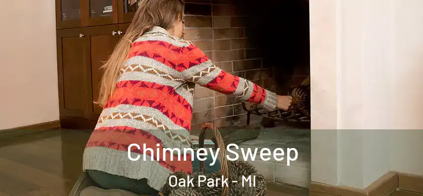 Chimney Sweep Oak Park - MI