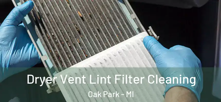 Dryer Vent Lint Filter Cleaning Oak Park - MI