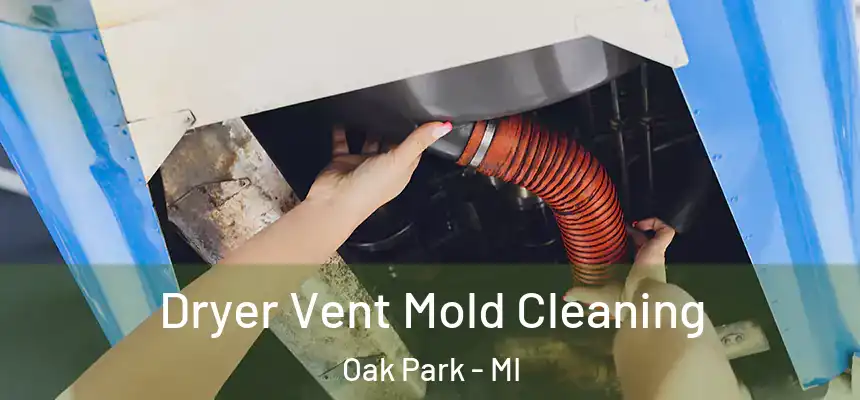  Dryer Vent Mold Cleaning Oak Park - MI