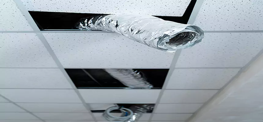 Our Air Duct Pet Hair Removal Services in Oak Park, MI