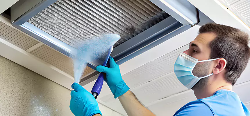 Proactive Dryer Vent & Auxiliary Duct Pollen Cleanup in Oak Park, MI