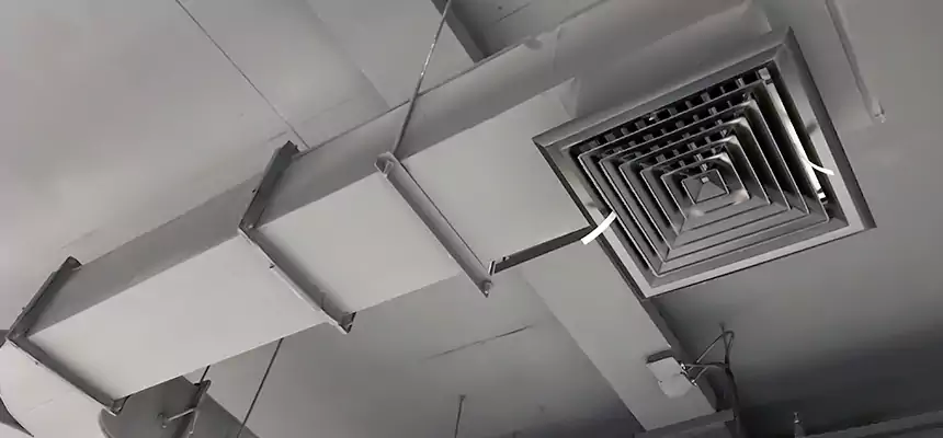 Restorative Allergy Relief Vent Cleaning – Coil, Blower & Housing Detail in Oak Park