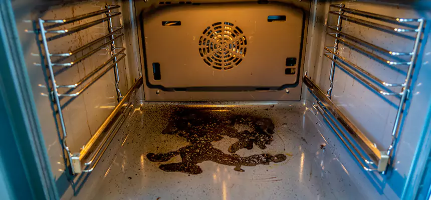 Our Dryer Vent Mold Cleaning Services in Oak Park, MI