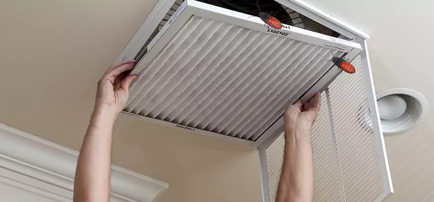 Our Insect Removal from Air Ducts Services in Oak Park, MI