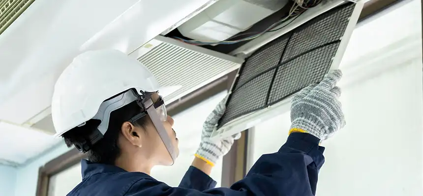 Our Lint Trap Cleaning Service Services in Oak Park, MI