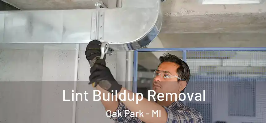  Lint Buildup Removal Oak Park - MI