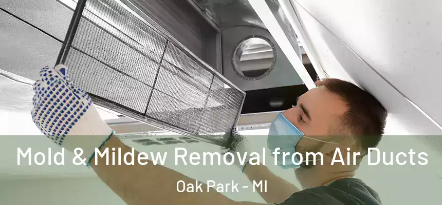 Mold & Mildew Removal from Air Ducts Oak Park - MI