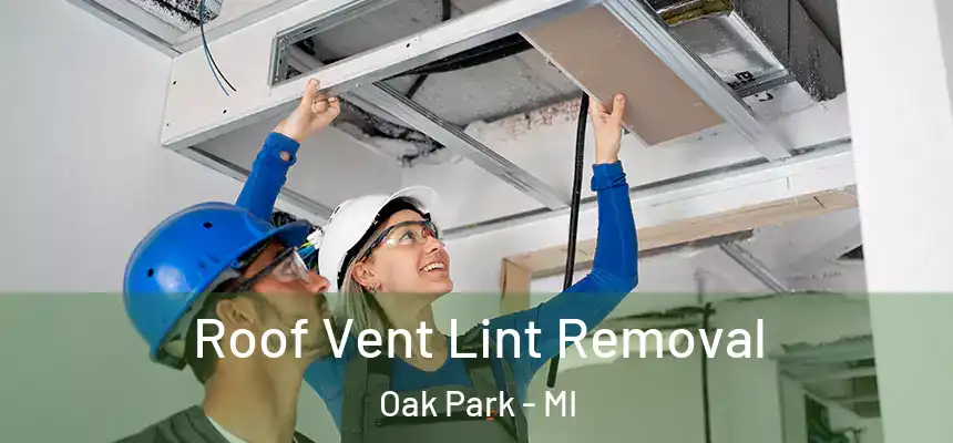 Roof Vent Lint Removal Oak Park - MI