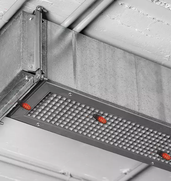 About Air Duct Cockroach Removal in Oak Park, MI