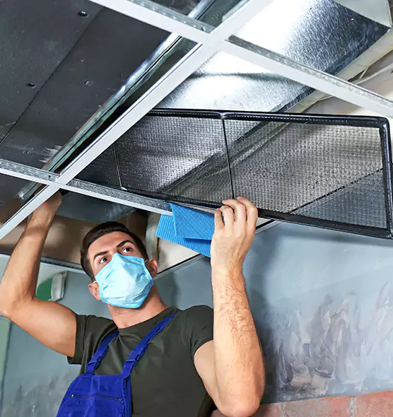 Professional Air Duct Pollen Cleaning in Oak Park, MI