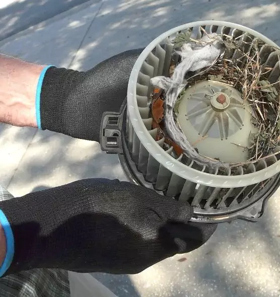 About Air Duct Rat Removal in Oak Park, MI