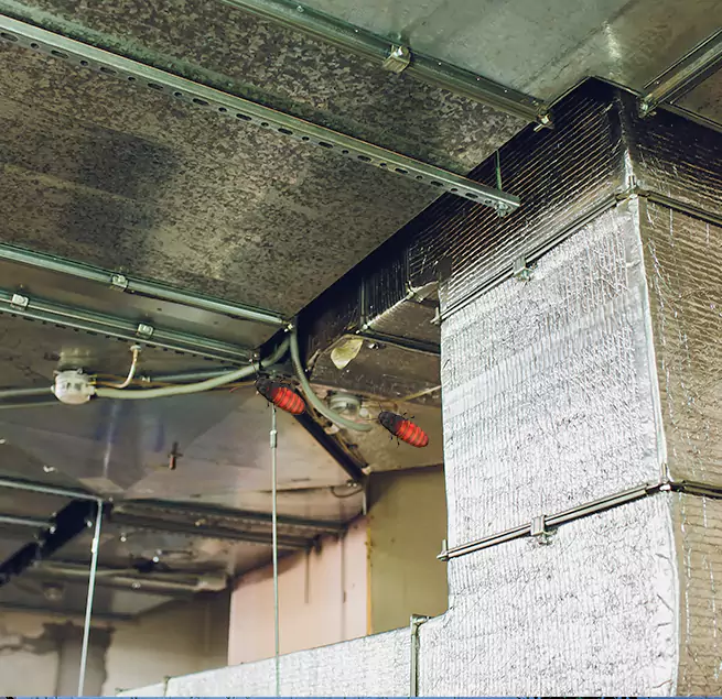 Why Homeowners & Businesses Trust Us in Oak Park, MI?