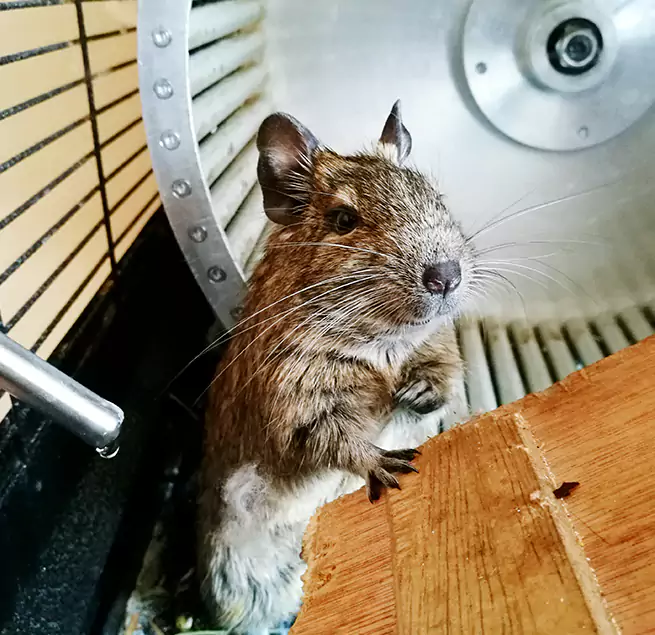 Why Homeowners & Businesses Trust Us Oak Park, MI