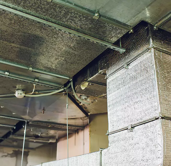 Why Homeowners & Businesses Trust Us in Oak Park, MI?